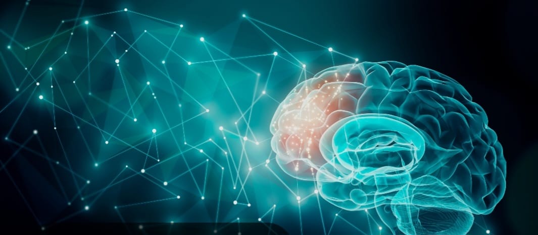 Bachelor of Science Degree in Psychology